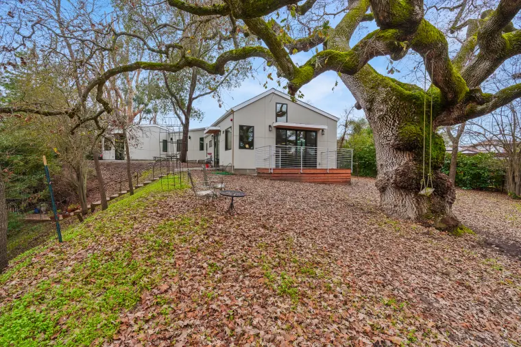 Gabled ADU with dark-framed windows and a cable-rail deck, seen across a leaf-covered yard beneath a large moss-covered oak with a rope swing