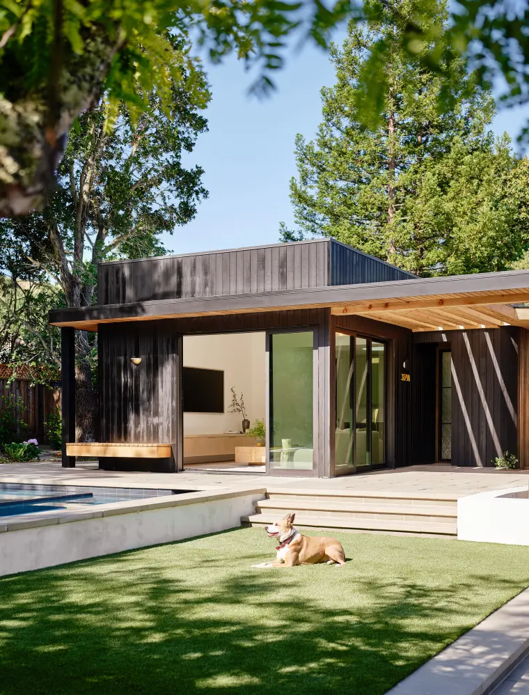 Charred-cedar ADU with a wood-slat overhang and glass sliders, facing a lawn where a dog lies in the sun