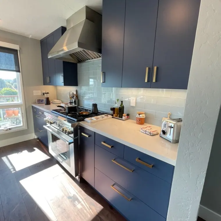 Finished cooktop wall with navy cabinetry, stainless steel range hood, light blue subway tile backsplash, professional gas range, quartz counters with brass hardware, hillside view through the window